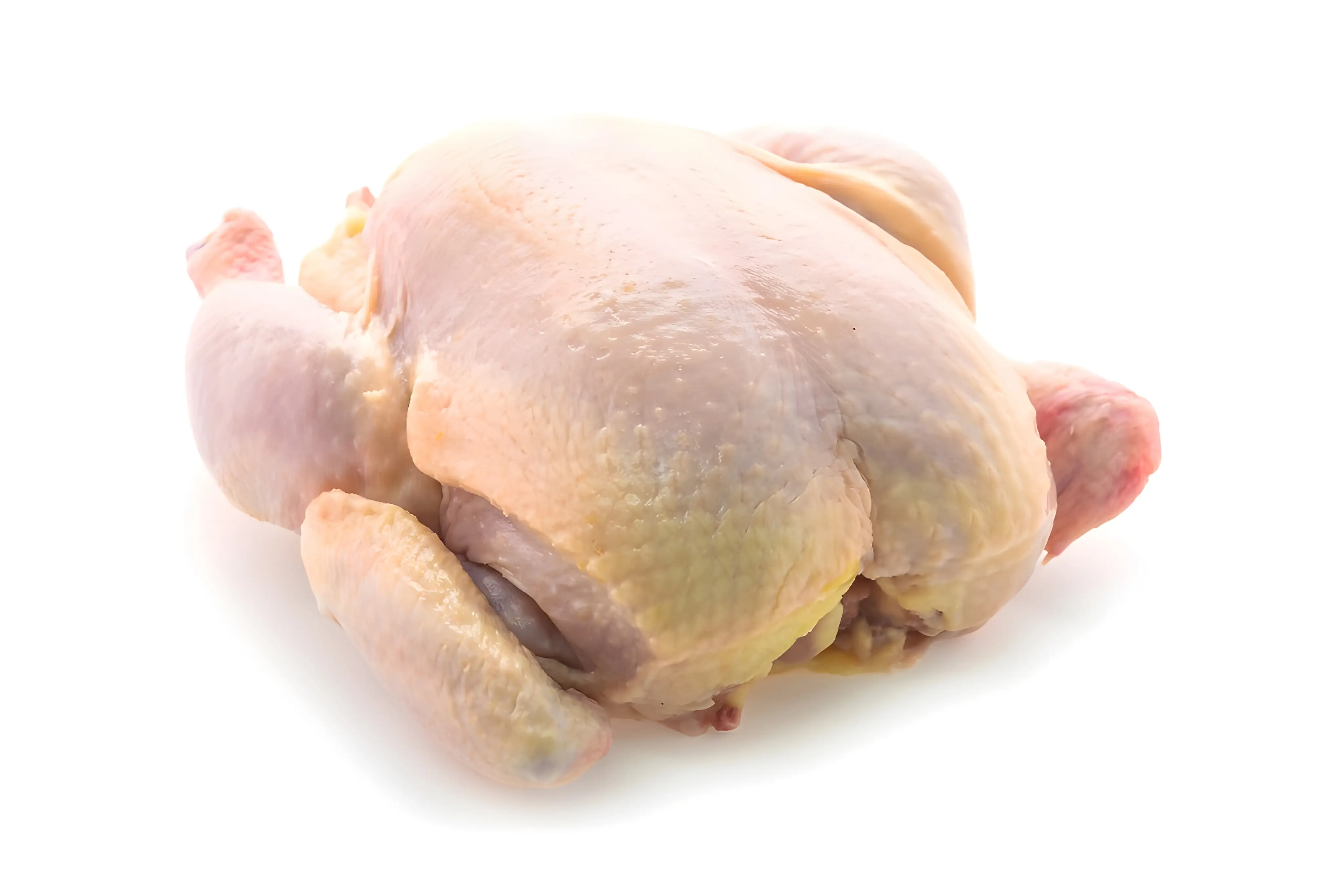 Fresh Whole Chicken