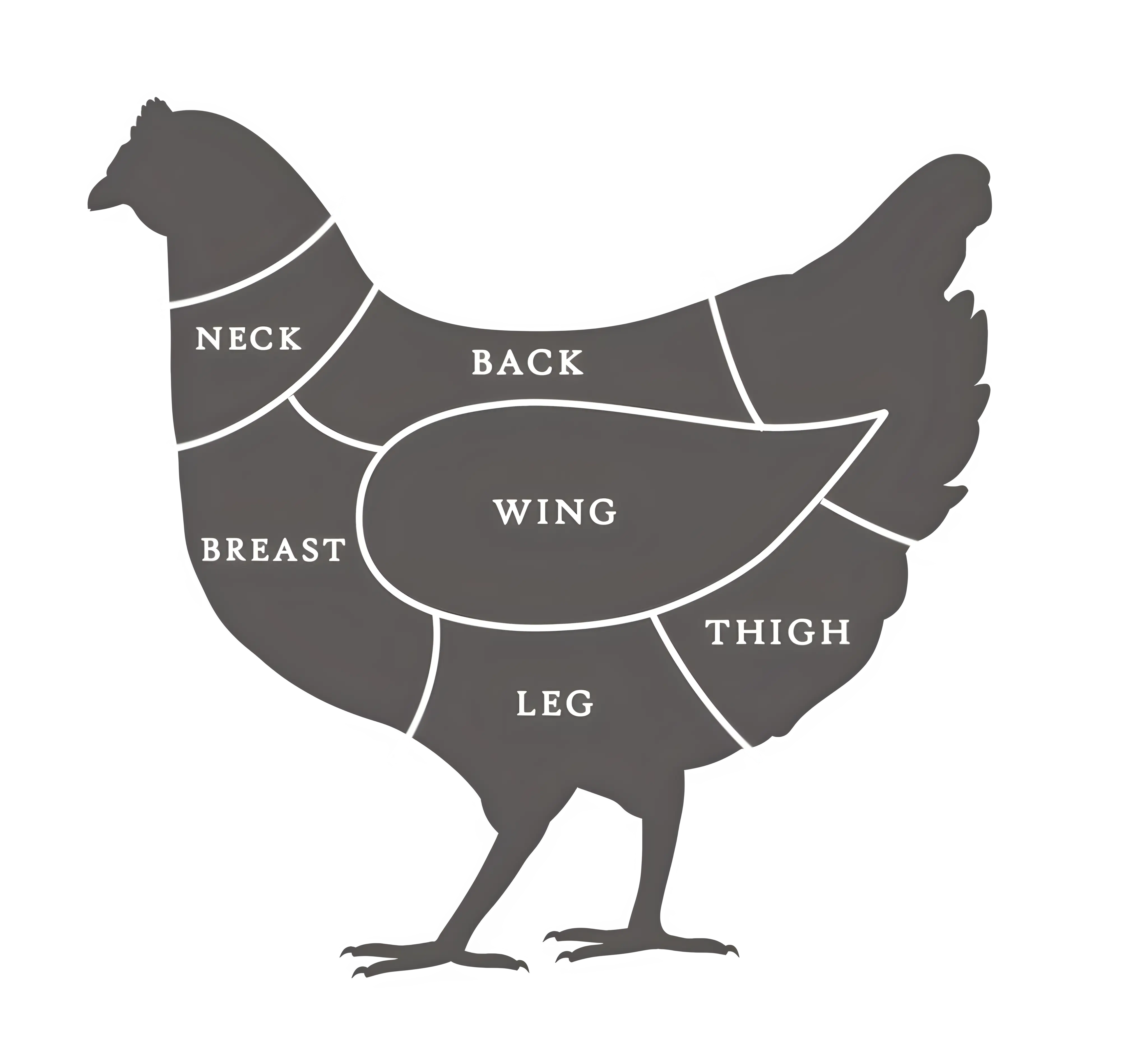 Chicken Cuts Diagram